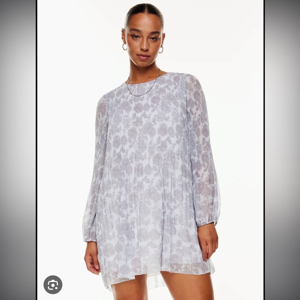 Aritzia Daydreamer Mini Dress